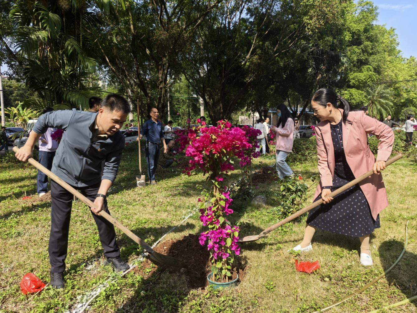 【文化建设】党团同心植新绿 医心向党护健康——玉林市红十字会医院开展2026年党建带团建植树节主题活动
