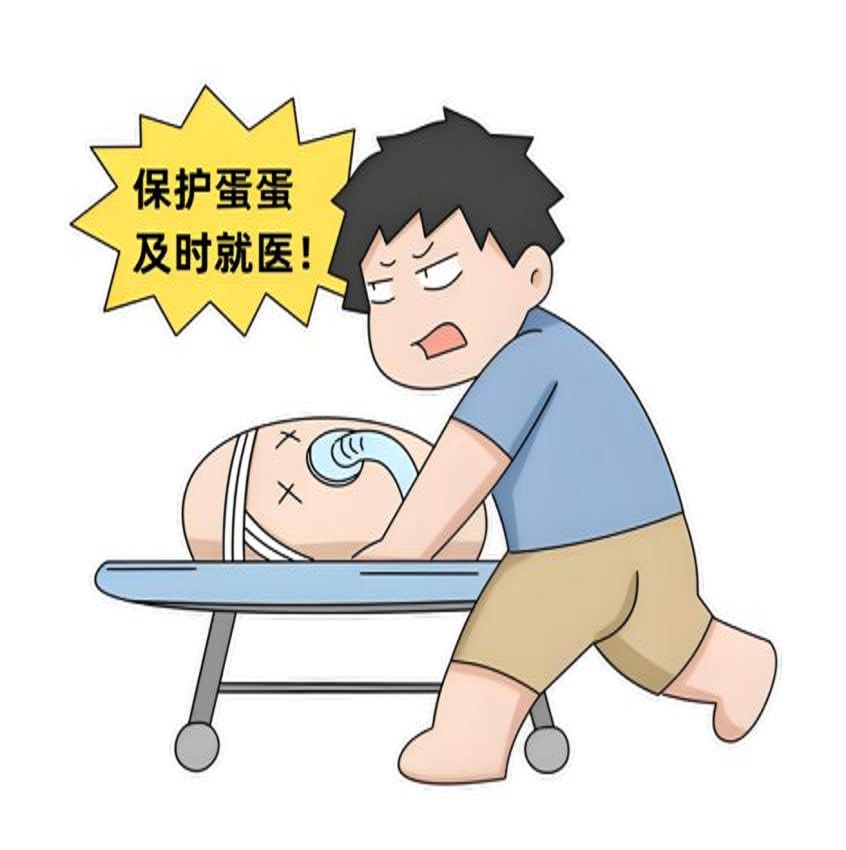 【健康科普】睾丸扭转：抓住6小时黄金抢救期  别让“蛋蛋”的遗憾发生