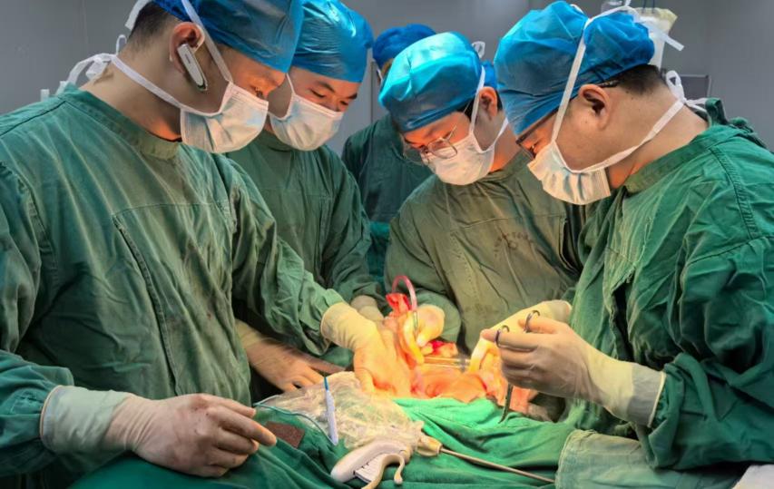 【优秀医疗团队巡礼】玉林红会医院结直肠肛门外科医疗团队：从“敢闯”到“善成”  构建晚期盆腔肿瘤高水平诊疗体系