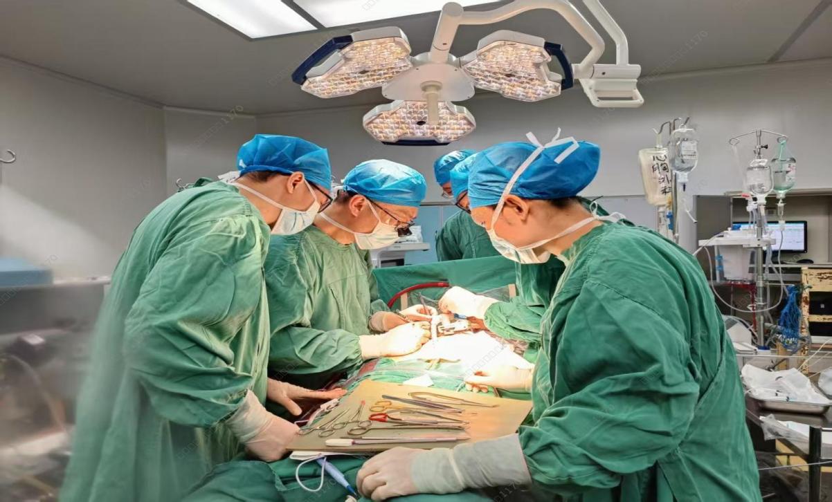 【医疗技术】突破“心”难题  重获健康“心”动力——玉林市红十字会医院成功完成高难度三尖瓣下移畸形矫治手术