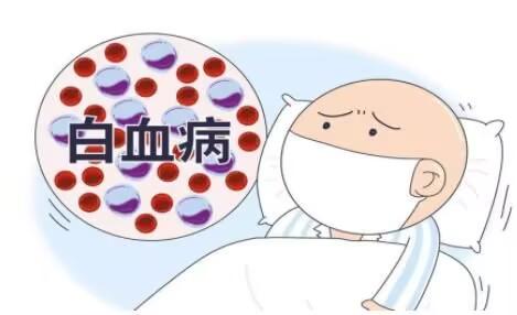 【健康科普】儿童急性白血病的早期识别、治疗与预防